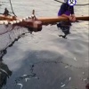 大沼晶保