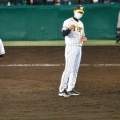 【悲報】阪神、5点リード守れず逆転負けやんけ…どうする？