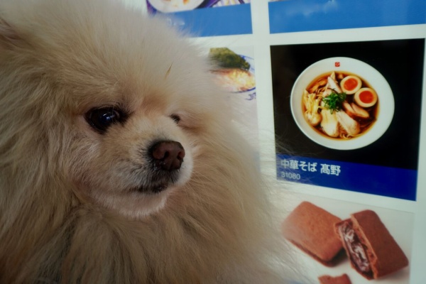 ぴぃちゃん♡10点 （ぴぃちゃんとテラス席。 - 2024年02月） 