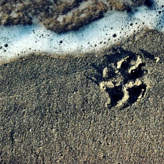 パラノーマルちゃんねる | 2ch怖い話まとめ