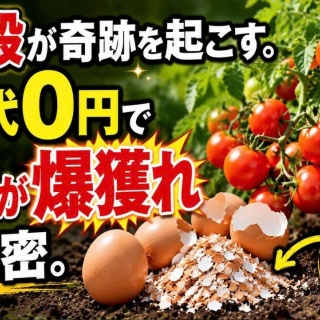 放浪画家「旅びっとん」こと、画家「神田雅志」のブログ　