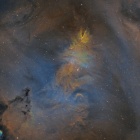 『投稿：新宿×BORG107FL F3.9×クリスマスツリー＆バラ星雲＆燃える木＋合焦情報　2022/01/27』の画像