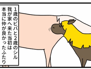 シルとビバの現在の関係
