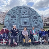 『桜の花見/花の季苑』の画像