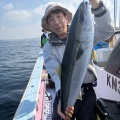 イワシの泳がせ