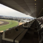 『先週の振り返り　今年初めての東京競馬観戦を堪能しました。』の画像