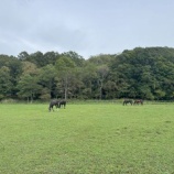 『なんとなく』の画像