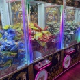 【オープンから1ヶ月！北斗市の取れすぎと話題のクレーンゲーム専門店 2千円チャレンジ】ゲット・ゲーム函館北斗店