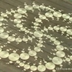 鬼のように幸せ