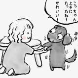 『「外」に反応する犬』の画像