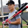 日ハム王柏融、初の屋外フリーで61スイング中3本の柵越え