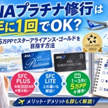 『ANAプラチナ修行は2年に1回でOK？スターアライアンスゴールドを効率よく維持する方法』の画像