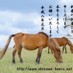 おきなわカエル商会BLOG