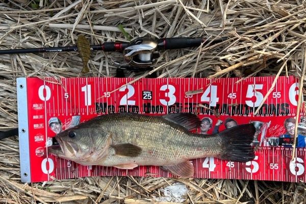 Lure Shop O'z Blog - 釣果情報