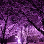 食事と旅と時々鉄分