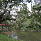 弘前城（青森県）③クマ