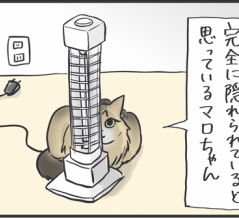 片目が隠れていれば全身隠れられている判定