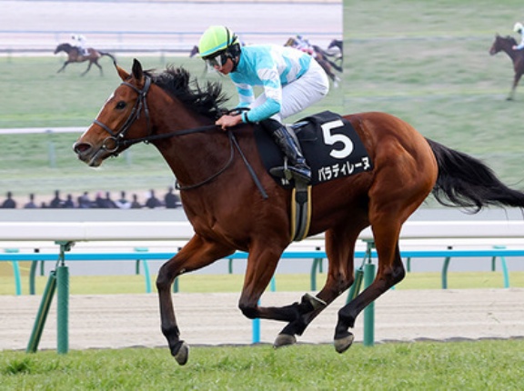 【競馬予想】[2]第50回エリザベス女王杯(GⅠ)/2025