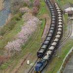 ＤＤパラダイスプレゼンツ Ｄ-ＲＨＡＰＳＯＤＹ☆