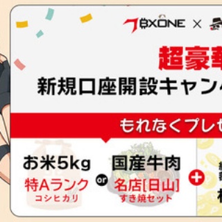 BXONEウォレット 日本語解説ブログ