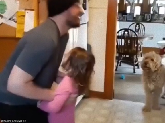 娘を「高い高い」したら犬が嫉妬してきたので…パパが頑張って期待に応える