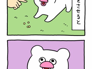 絶滅寸前の動物ハッチンパモス「待て」