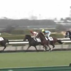 さておき競馬まとめ