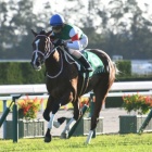 『今日は何の日?(11月2日)』の画像