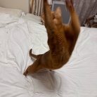 荒ぶるお姉ちゃんを呆然と見るわか坊