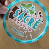 アイスに救いを求めたが…やらかした