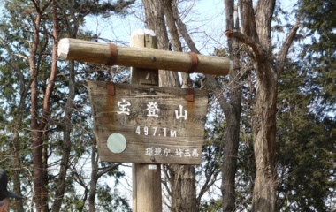 『2013/2/17　宝登山　蝋梅』の画像