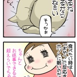 ちゃんと会話が成り立っています