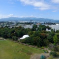 相模原ポタへ　懐かしいクルマと自販機