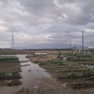 鳥海の麓 「北村くらた農園」より愛を米て。　