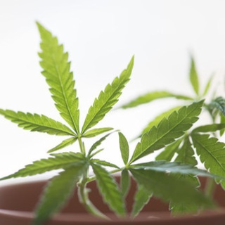 私 親の様子を見に病院に行ってました トメ こっちに来るのが先でしょう コトメ じゃあ私も母さんが具合悪くても真っ先に帰って来ちゃダメなんだ え 結果 鬼女の宅配便 修羅場 浮気からほのぼの系まで まとめサイト