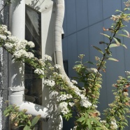 初めましての調味料&お取り寄せ♪