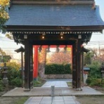 ニュース逆さ読み