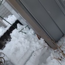 見逃してませんか🙄　不登校