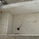 ノラのおもちゃ