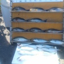 　　　　　　　　２０２５年11月16日