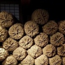 【速報】お米の流通に『異変』が起こっている模様・・・