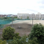 野球場巡り