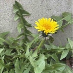 一般社団法人契山館 名古屋支部のブログ　～霊的生命体として生きる～