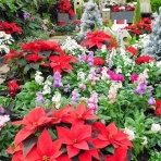 和田周平ブログ