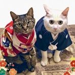 くららんち。～B型夫婦と猫２匹の日常～