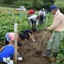 【受付終了】2025年キッズ農園サツマイモ収穫体験