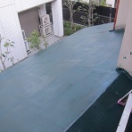 ゆず・かぼす・じじ・なんだの見聞録