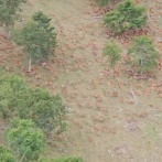【画像】長野県さん、鹿に奪われる。　想像の8.6倍の数の大量繁殖！！