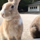 視線の先に何が