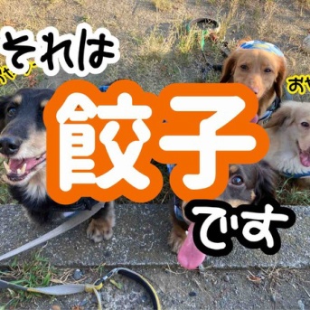 時々とても食べたくなるモノ。